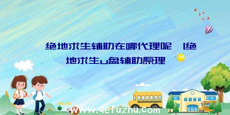 「绝地求生辅助在哪代理呢」|绝地求生u盘辅助原理